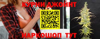 сатива Дубна