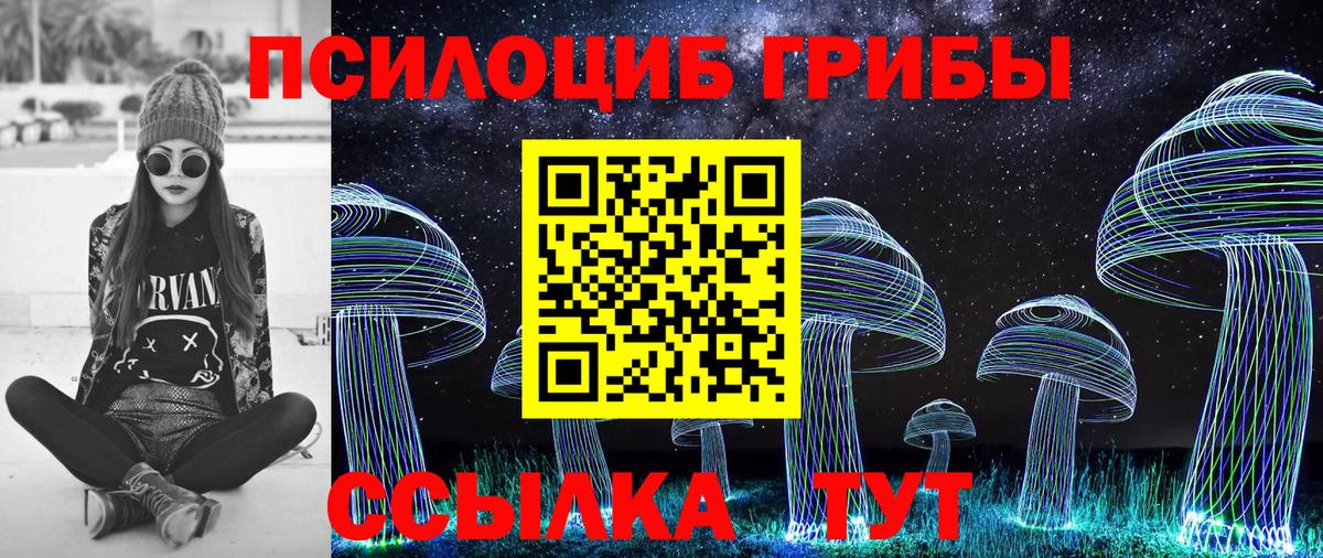 Губкин  Псилоцибиновые грибы ЛСД  Вход с VPN  Галлюциногенные грибы мухоморы 